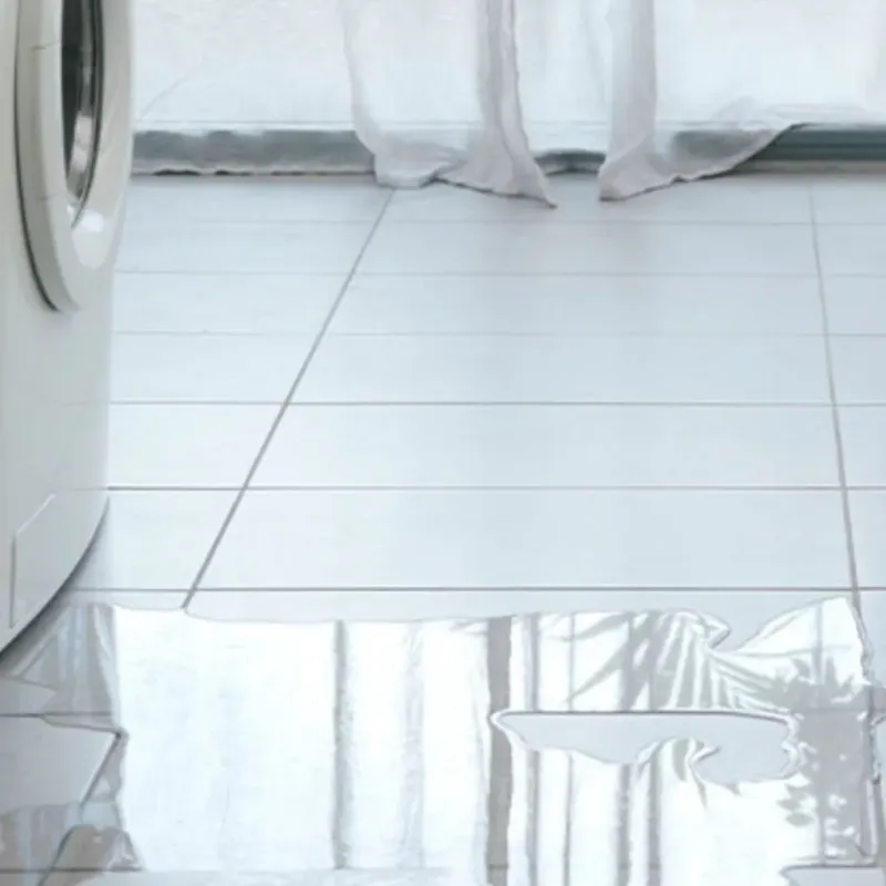 Appliance Leak Cleanup in The Hammocks, FL